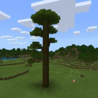 Мод на деревья для Minecraft PE