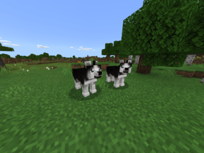 Мод на Собак для Minecraft PE