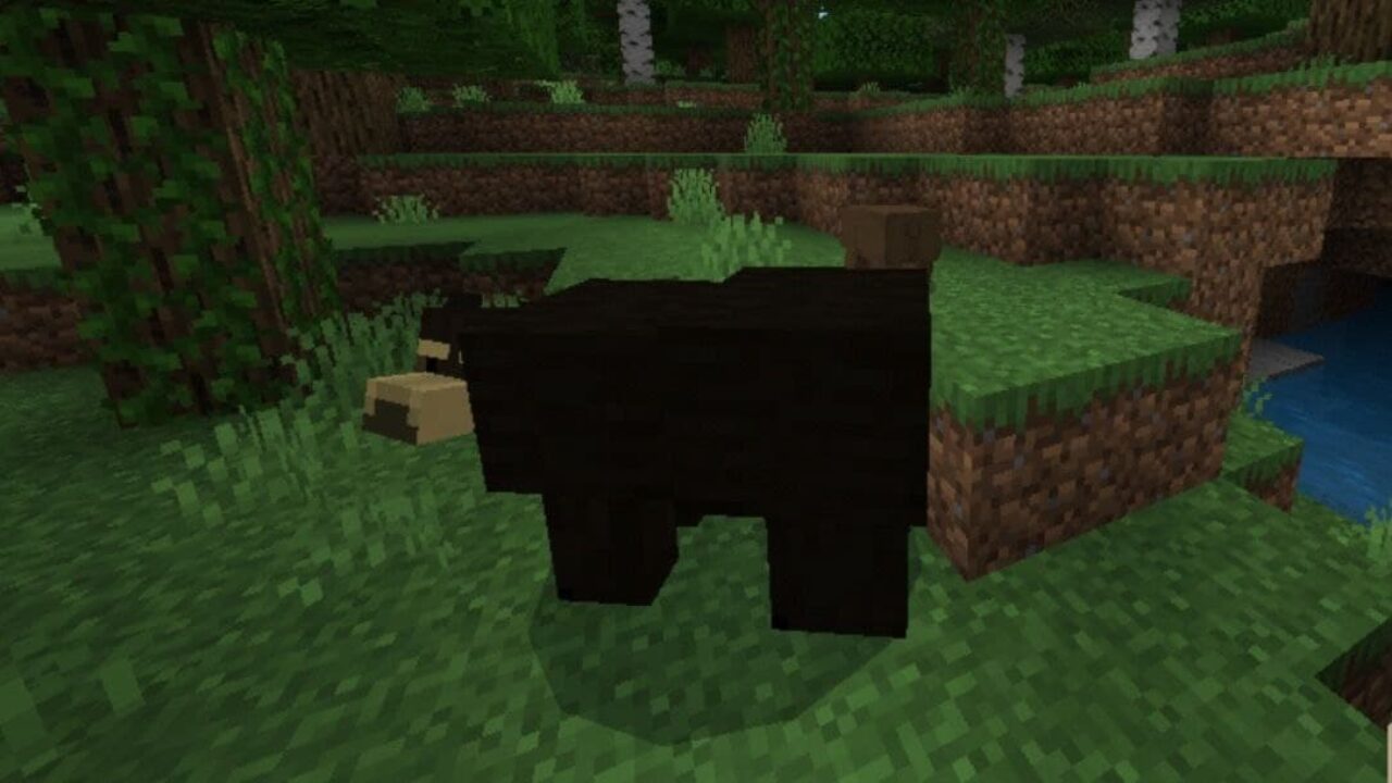 Мод на медведя для Minecraft PE