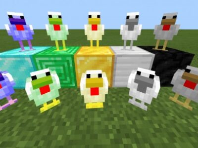 Мод на Куриц для Minecraft PE