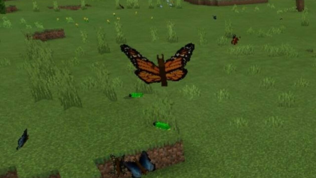 Мод на Бабочку для Minecraft PE