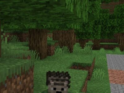 Мод на Ежика для Minecraft PE