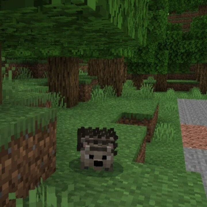 Мод на Ежика для Minecraft PE