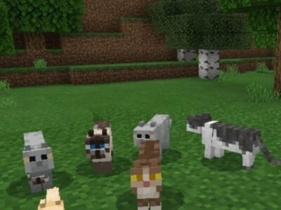 Мод на Кошек для Minecraft PE