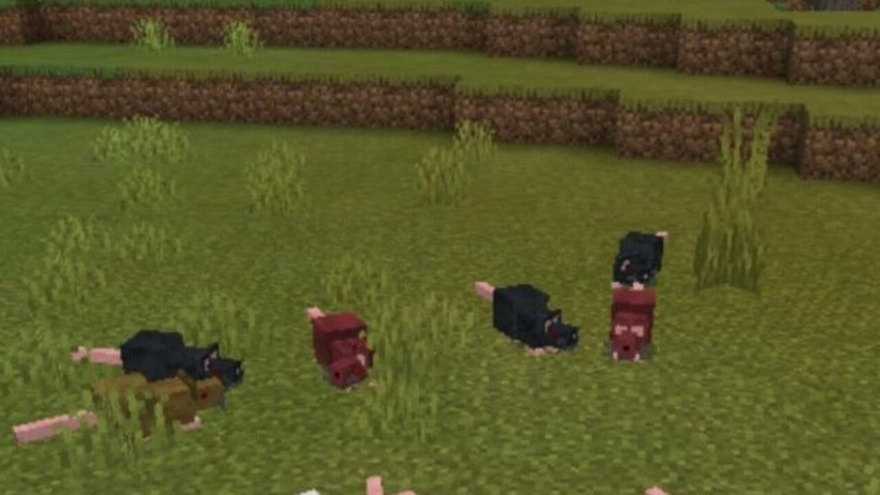 Мод на Крыс для Minecraft PE