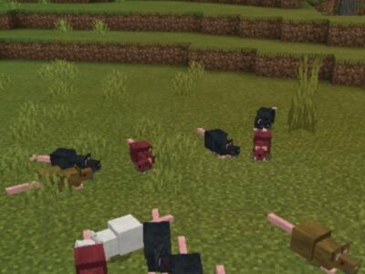 Мод на Крыс для Minecraft PE