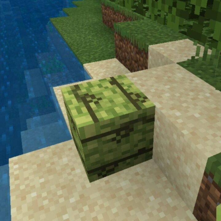Мод на Бамбук для Minecraft PE