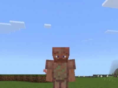 Мод на камеры для Minecraft PE