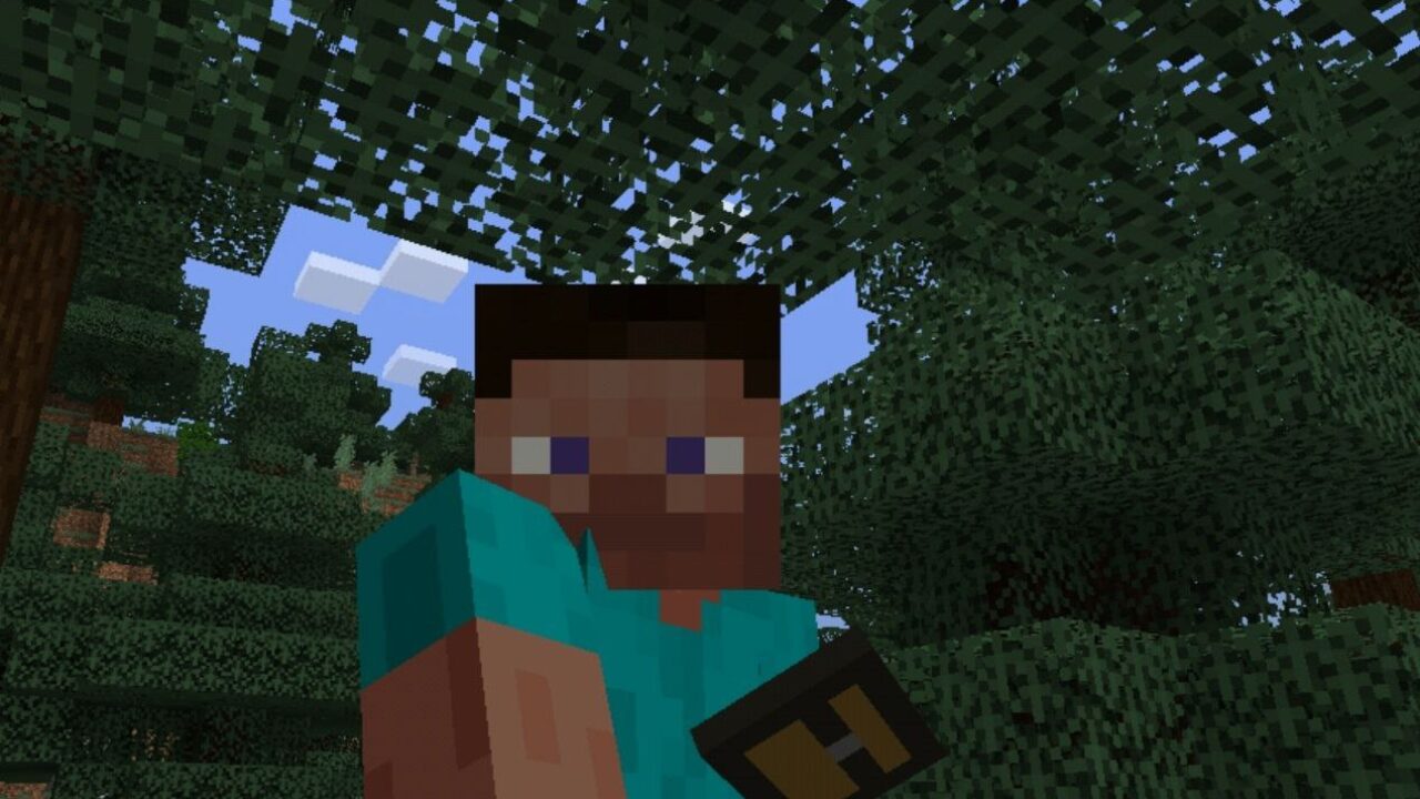 Мод на Сортировку Вещей для Minecraft PE
