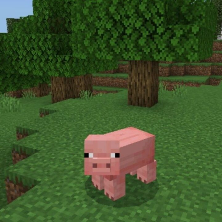 Мод Стать Мобом для Minecraft PE
