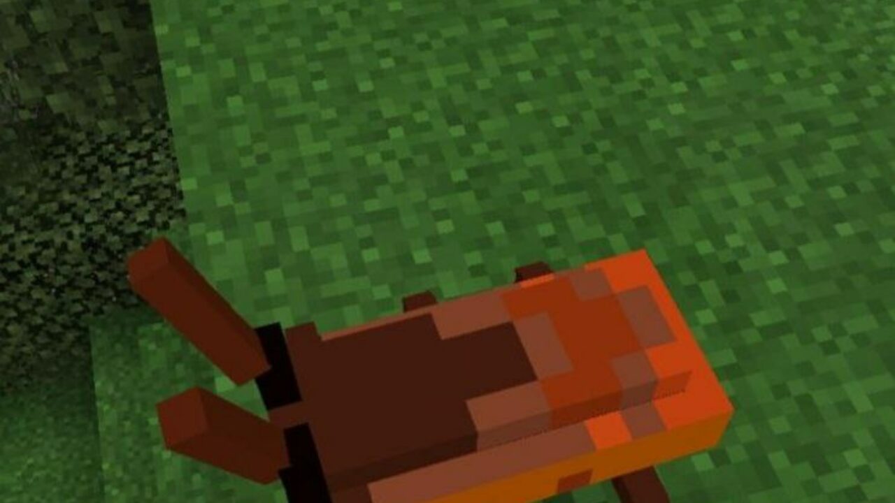 Мод на Тараканов для Minecraft PE