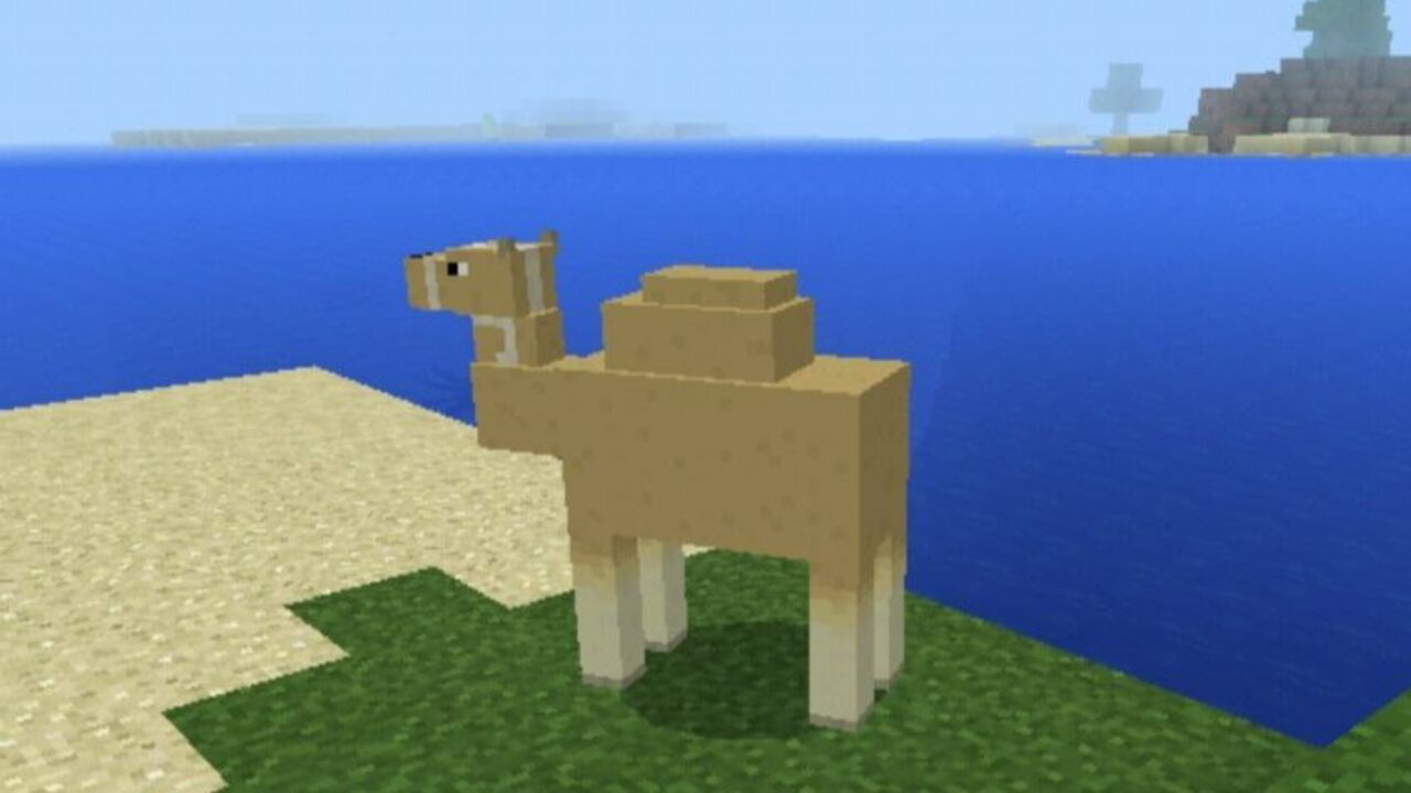 Мод на Верблюда для Minecraft PE