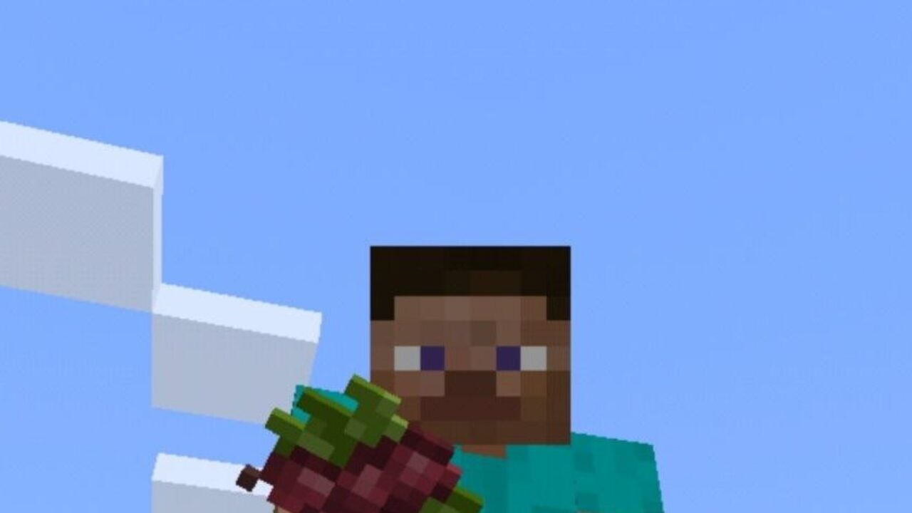 Мод на Ягоды для Minecraft PE
