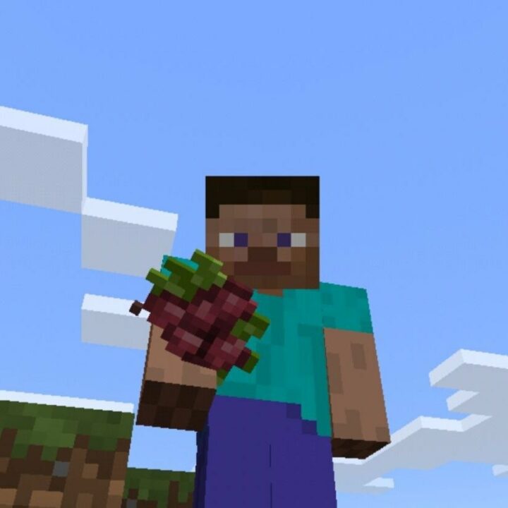 Мод на Ягоды для Minecraft PE