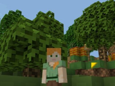 Мод на Fps для Minecraft PE