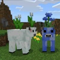 Мод на Домашних животных для Minecraft PE