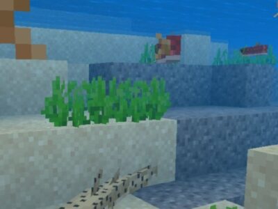 Мод на Рыбу для Minecraft PE