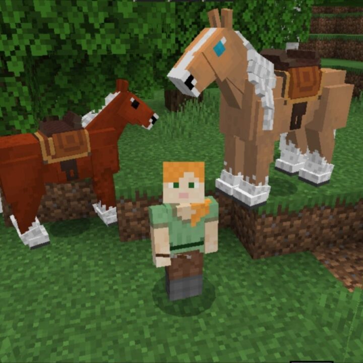 Мод на Конный спорт для Minecraft PE