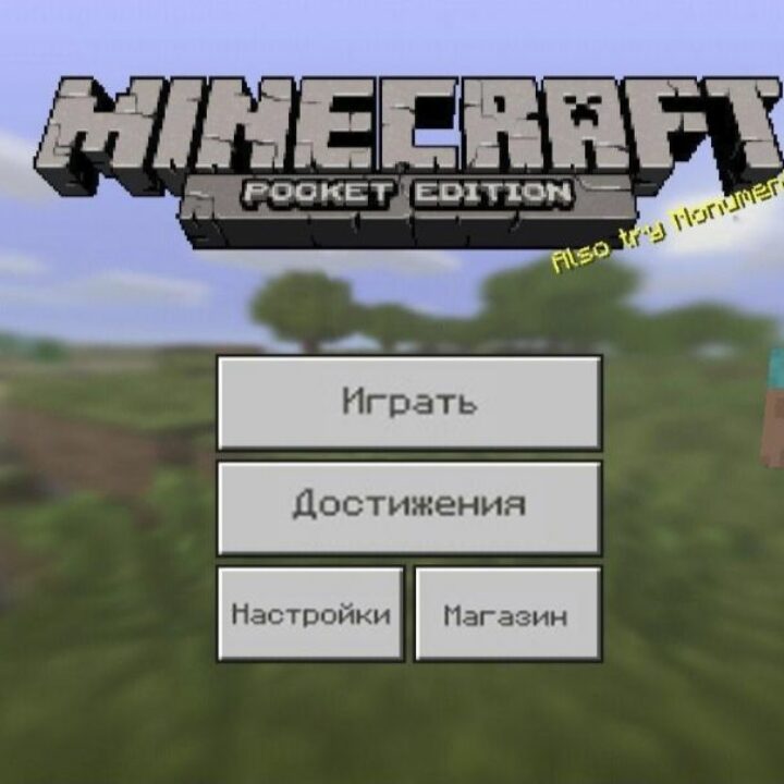 Скачать Майнкрафт 1.0.8