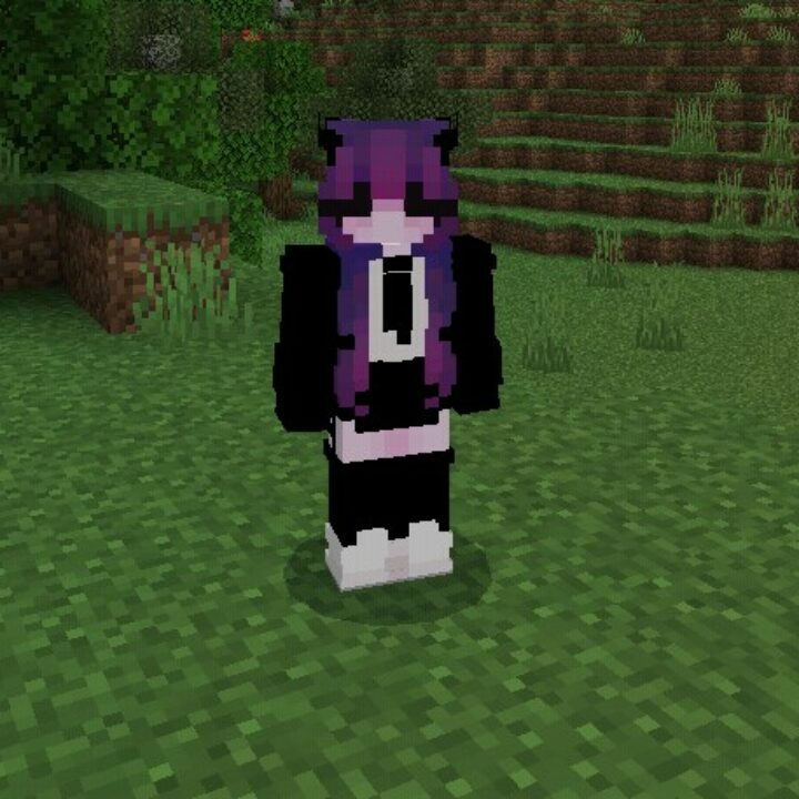 Скины с Фиолетовыми Волосами для Minecraft PE