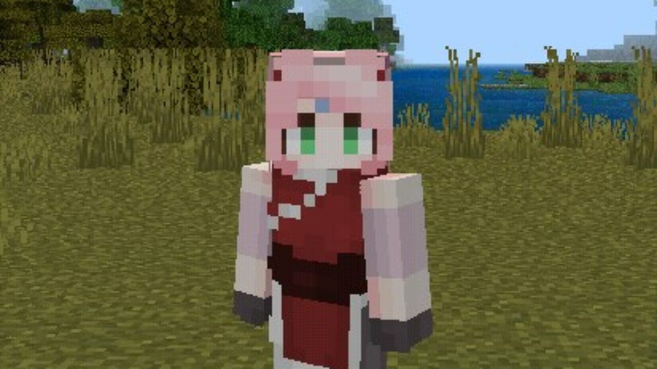 Скины с Розовыми Волосами для Minecraft PE