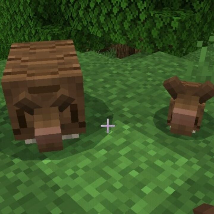 Мод на Броненосца для Minecraft PE
