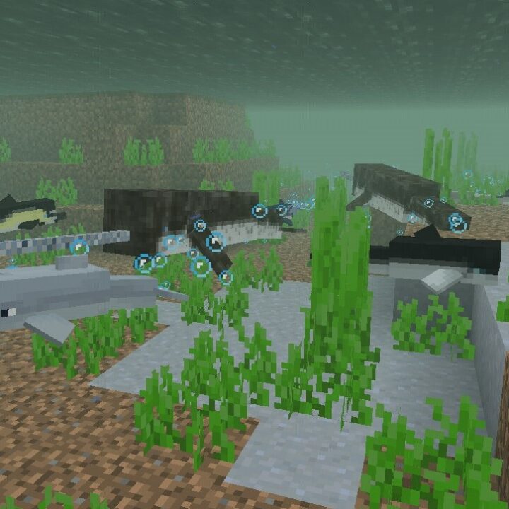 Мод на Дельфина для Minecraft PE