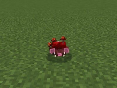Мод на Мышей для Minecraft PE