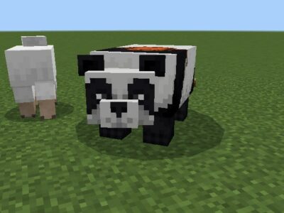 Мод на Панду для Minecraft PE