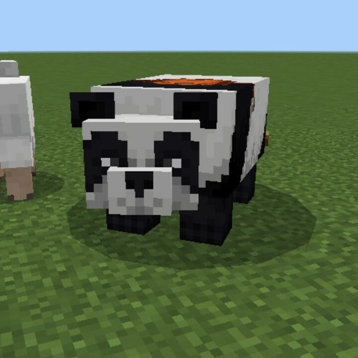 Мод на Панду для Minecraft PE