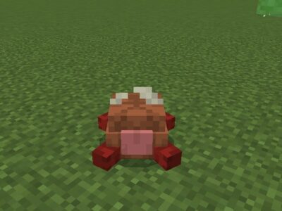 Текстуры Собак для Minecraft PE