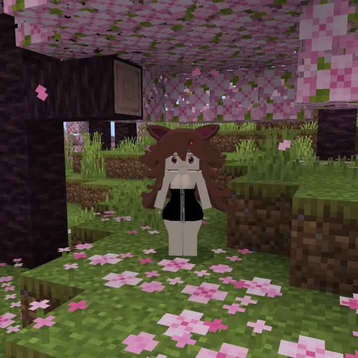 Мод на Луну для Minecraft PE