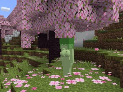 Мод на девушку Слайм для Minecraft PE