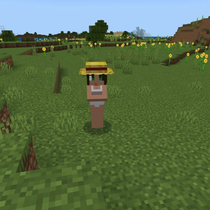 Текстуры На Секс для Minecraft PE
