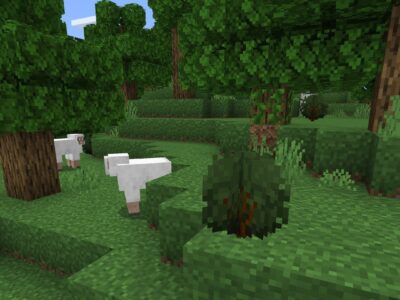 Текстуры Блоков Травы для Minecraft PE