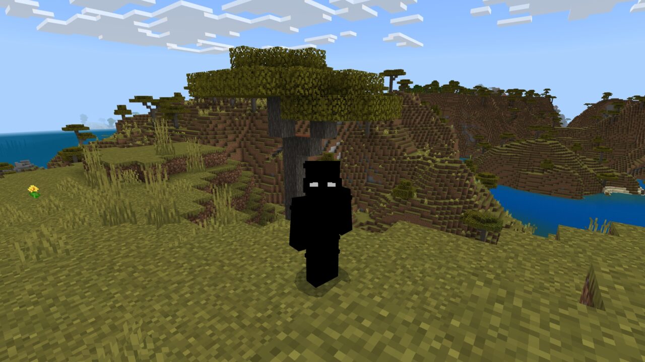 Черный Скин с Белыми Глазами для Minecraft PE