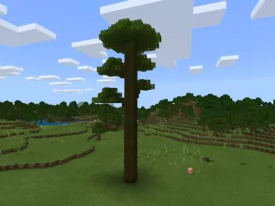 Мод на деревья для Minecraft PE