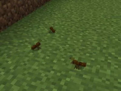 Мод на Муравьев для Minecraft PE