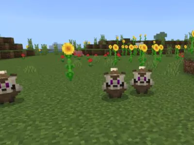 Мод на Енота для Minecraft PE