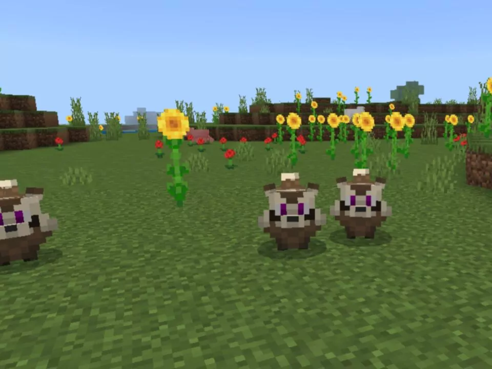 Мод на Енота для Minecraft PE