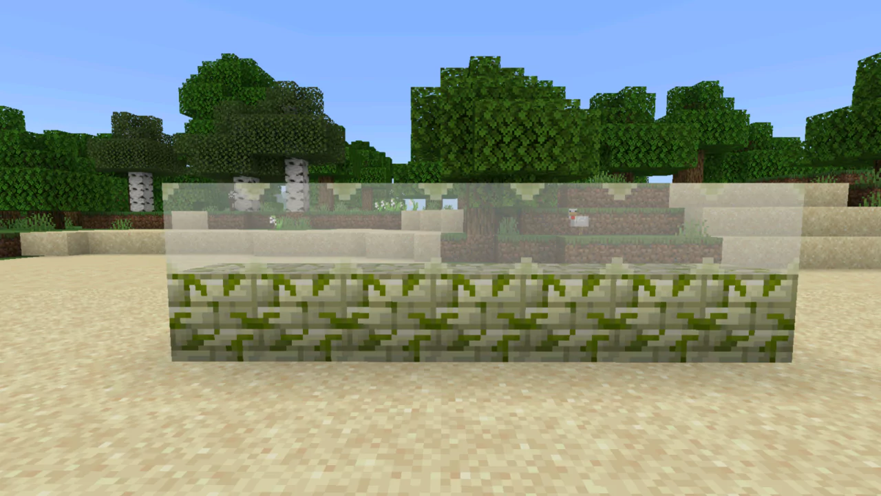 Стекло для Мода на Скелетный декор на Minecraft PE