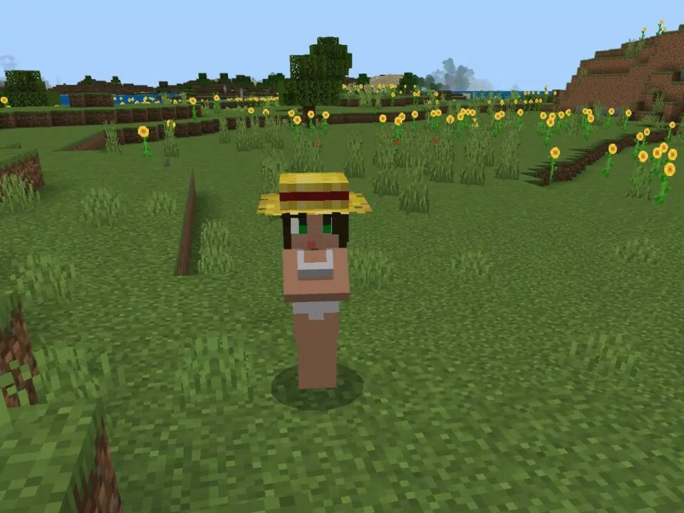Текстуры На Секс для Minecraft PE