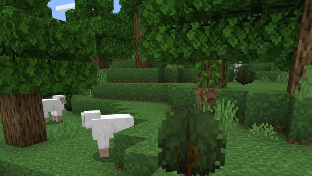Текстуры Блоков Травы для Minecraft PE